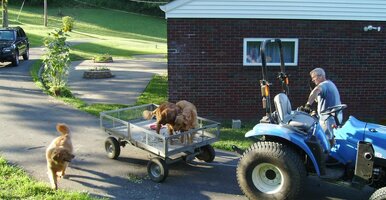 July 2011c.jpg