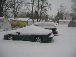 IMG_0154.jpg