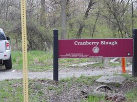 cranberry slough 006.jpg
