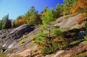 DSC5474 Bon Echo fall colors.jpg