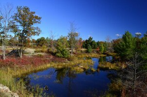 DSC5593 Bon Echo fall colors.jpg