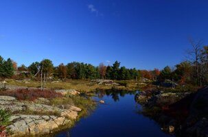 DSC5627 Bon Echo fall colors.jpg