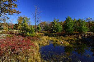 DSC5597 Bon Echo fall colors.jpg