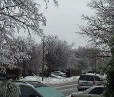20131222_103218-2.jpg