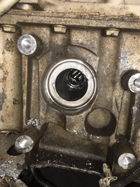 GIF4.gif