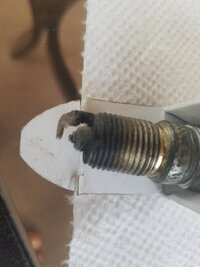Plug #3.jpg