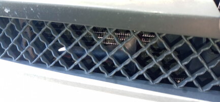 20201104_125331.jpg