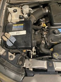 IMG_0891.jpg