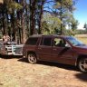 Royalwapiti